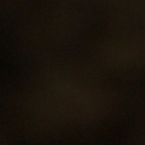 Meet your Posher, Bree